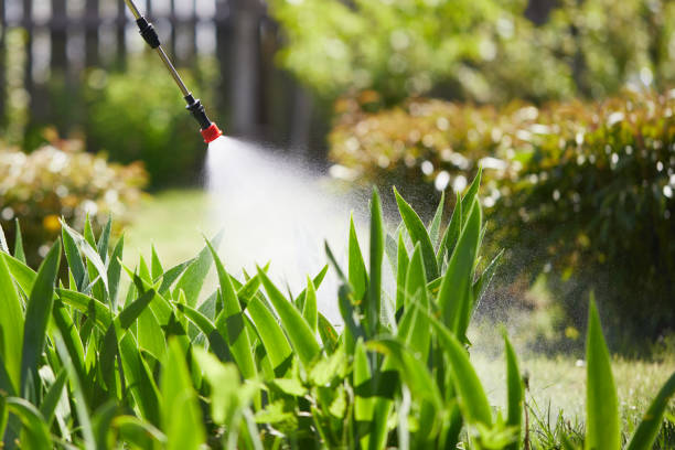 24/7 Emergency Mosquito Control experts in Wilderness Rim, WA
