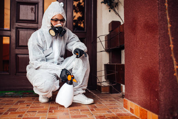 Reliable Mosquito Control contractor in Wilderness Rim, WA by Show Me Pest Control